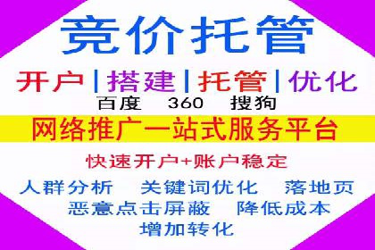 SEM网络推广案例：打造行业影响力品牌